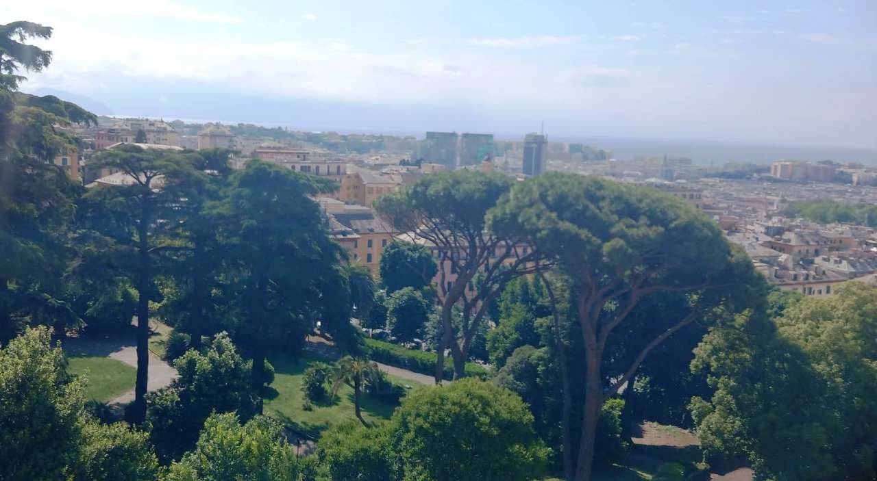 Vista