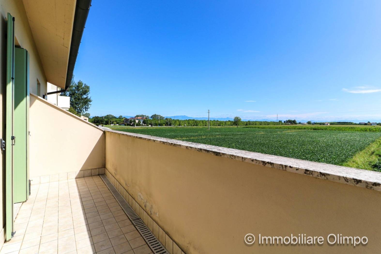 Terrazzo