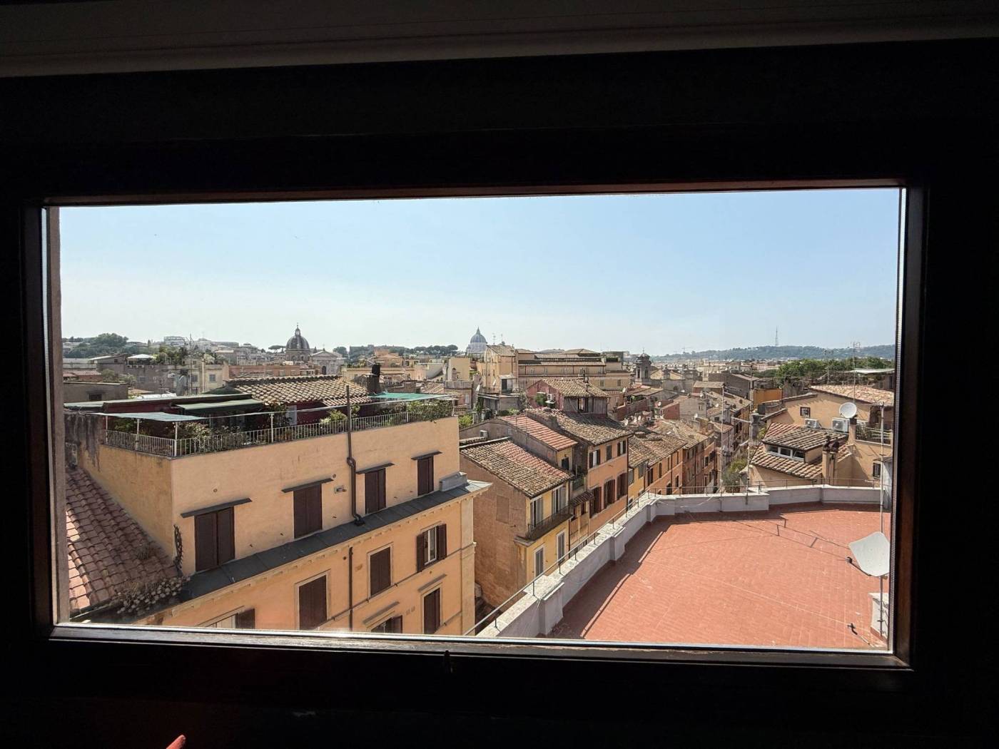 Vista
