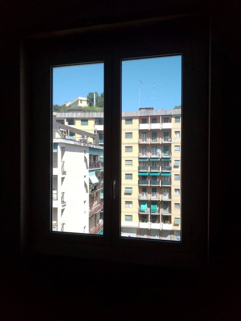 Vista
