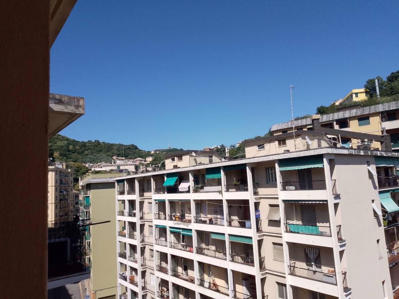 Vista
