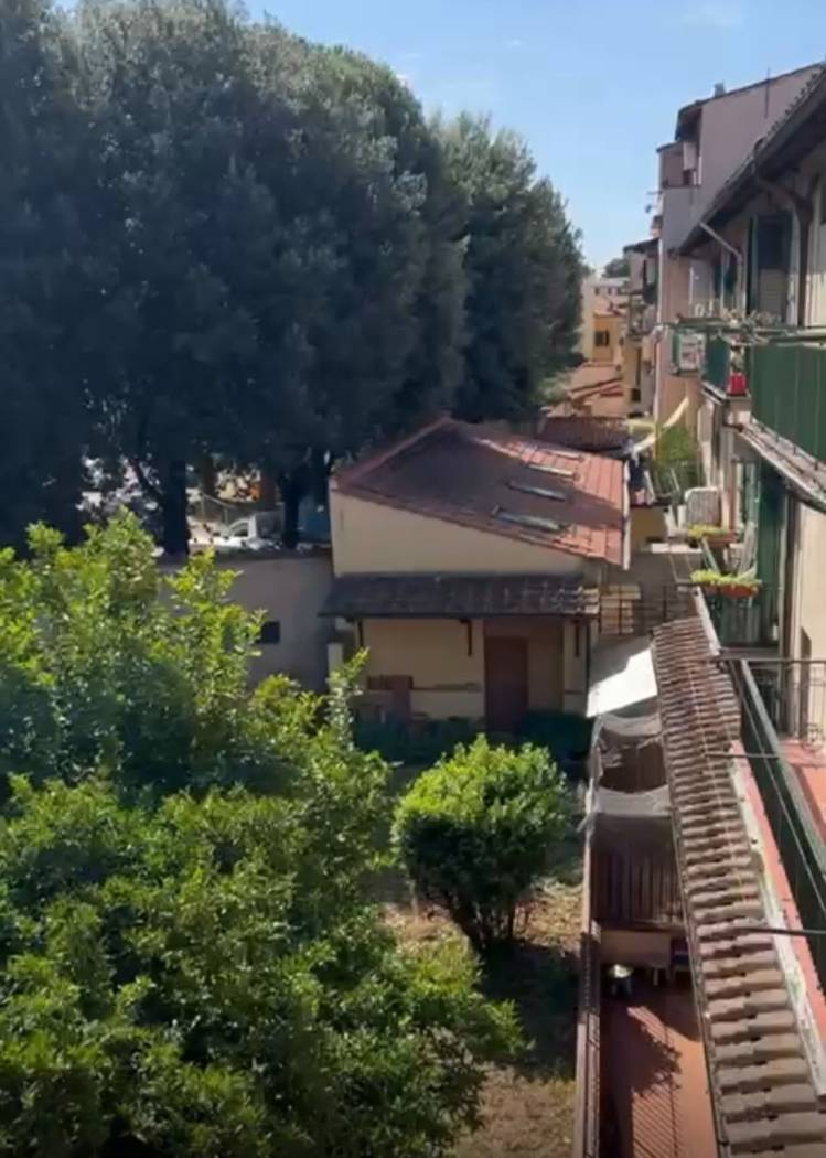 Vista