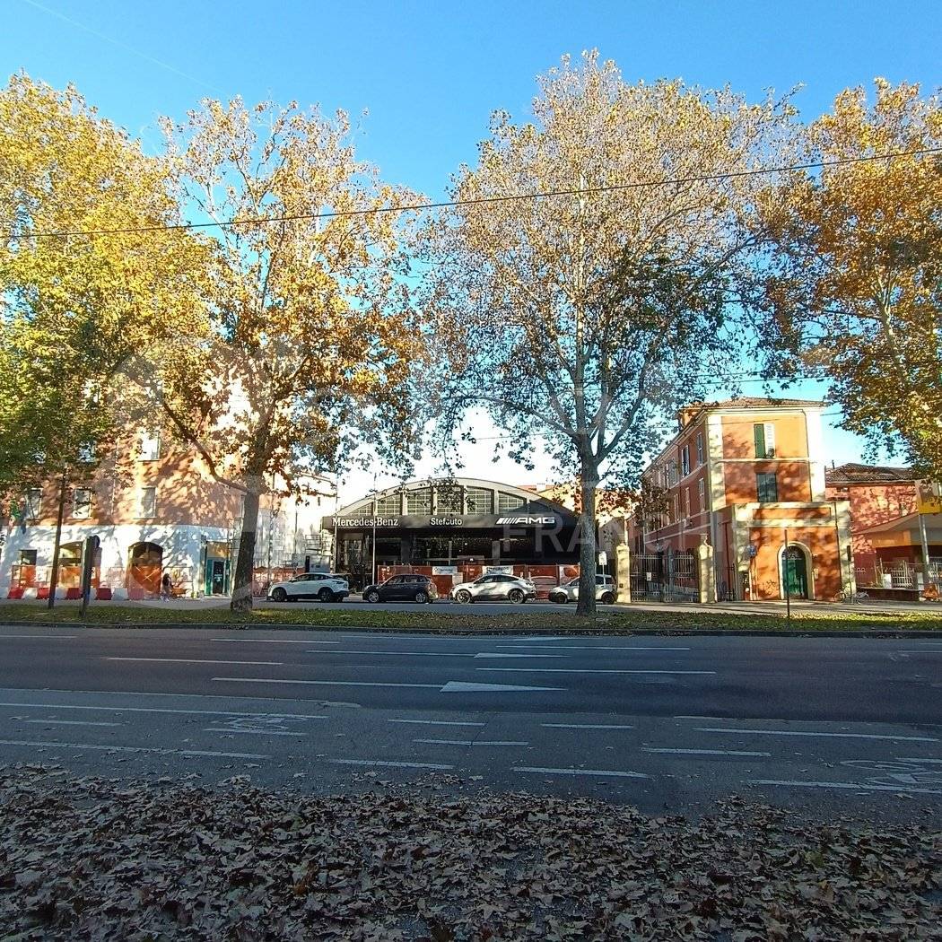 Zona