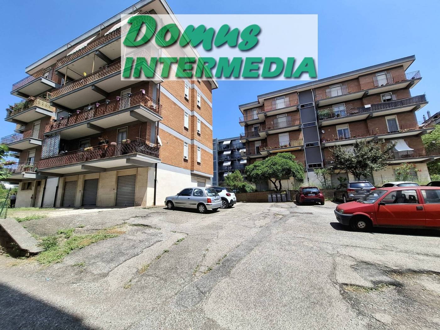 Zona