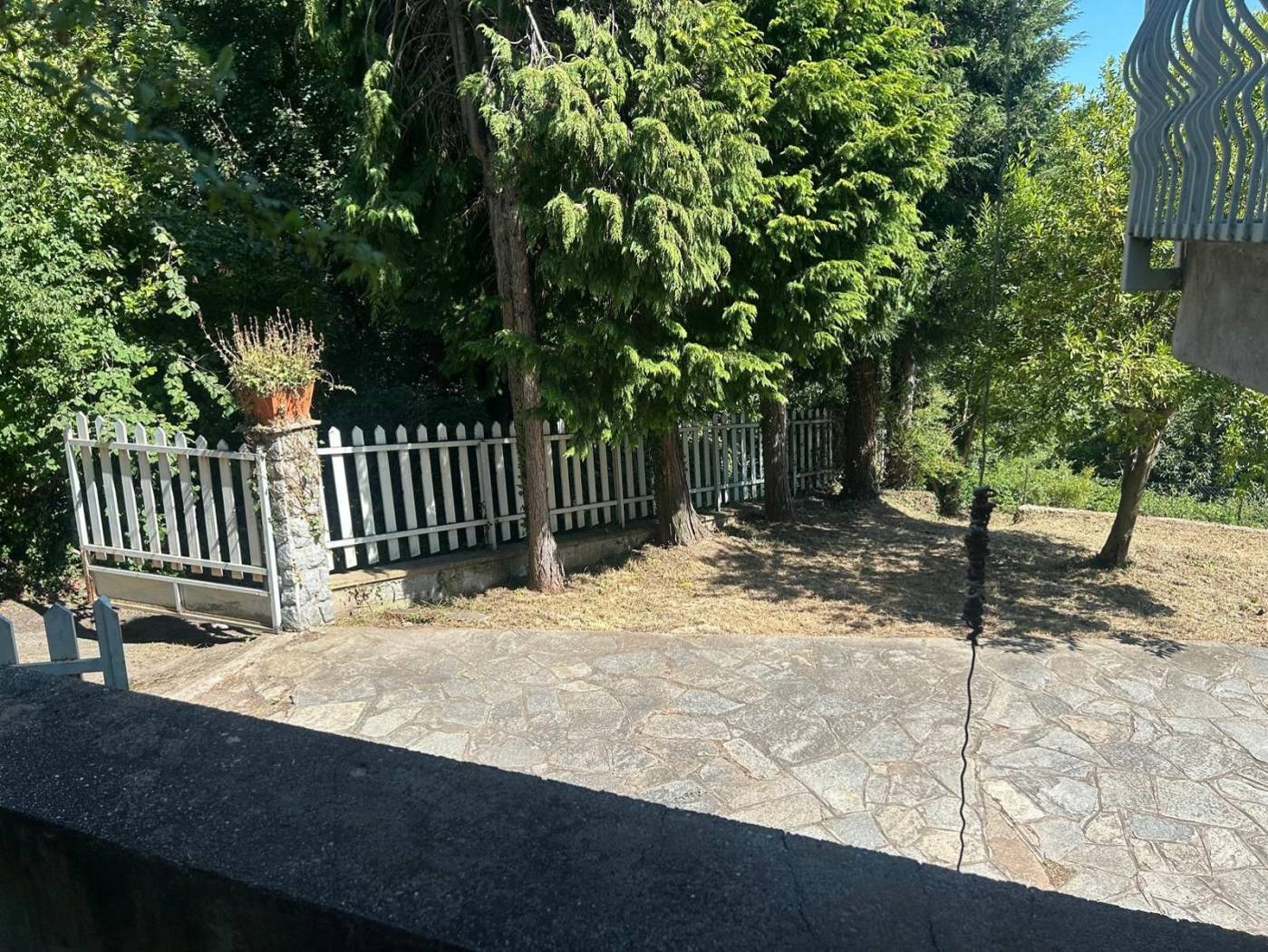 Giardino