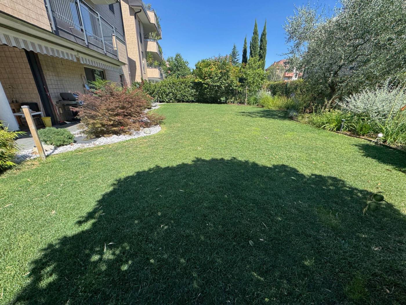 Giardino