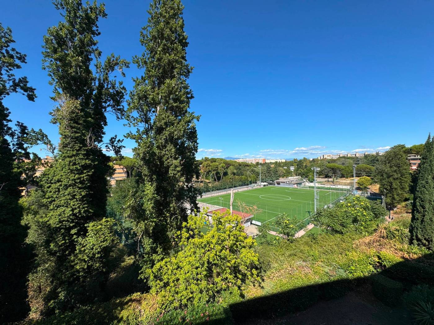 Vista