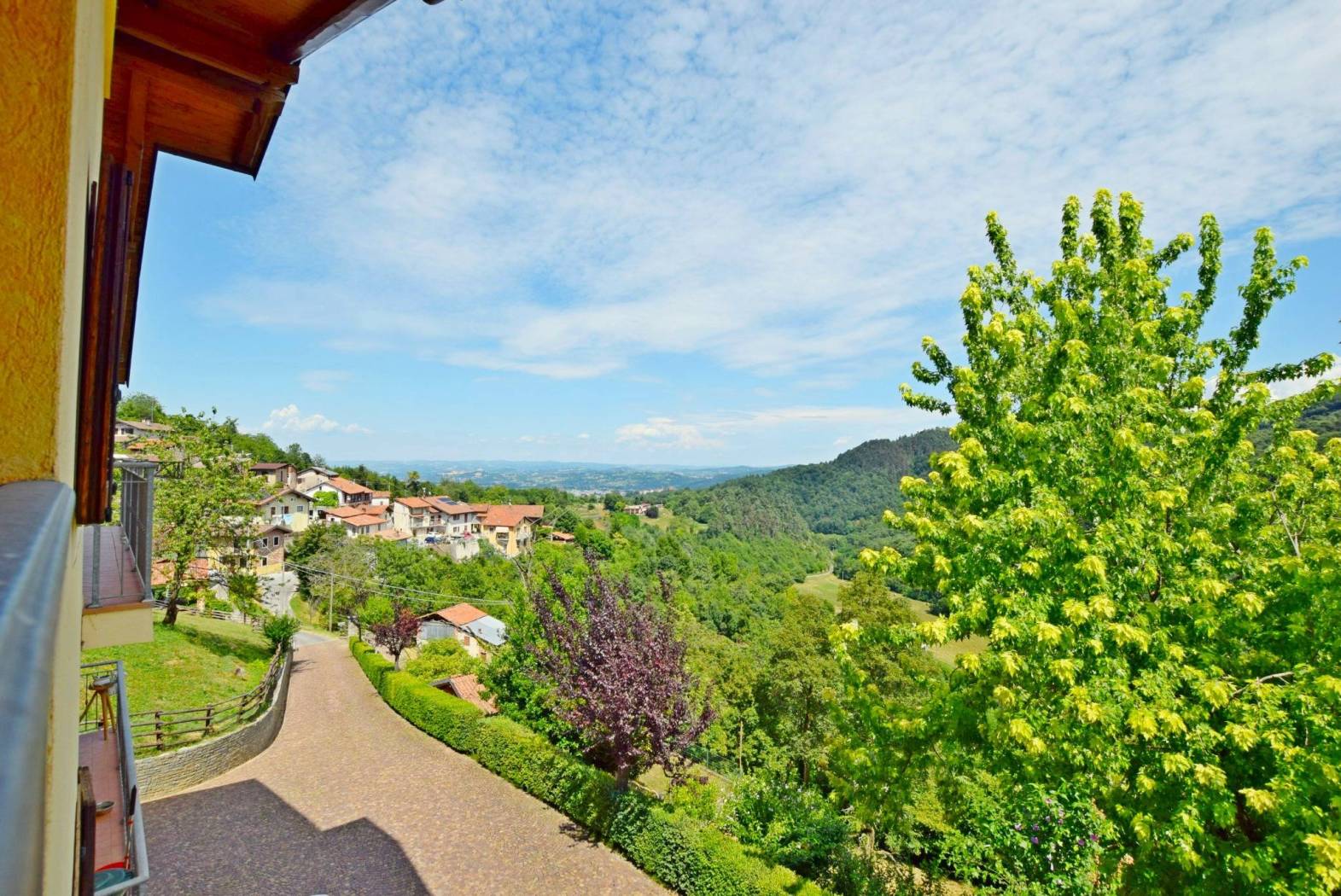 Vista