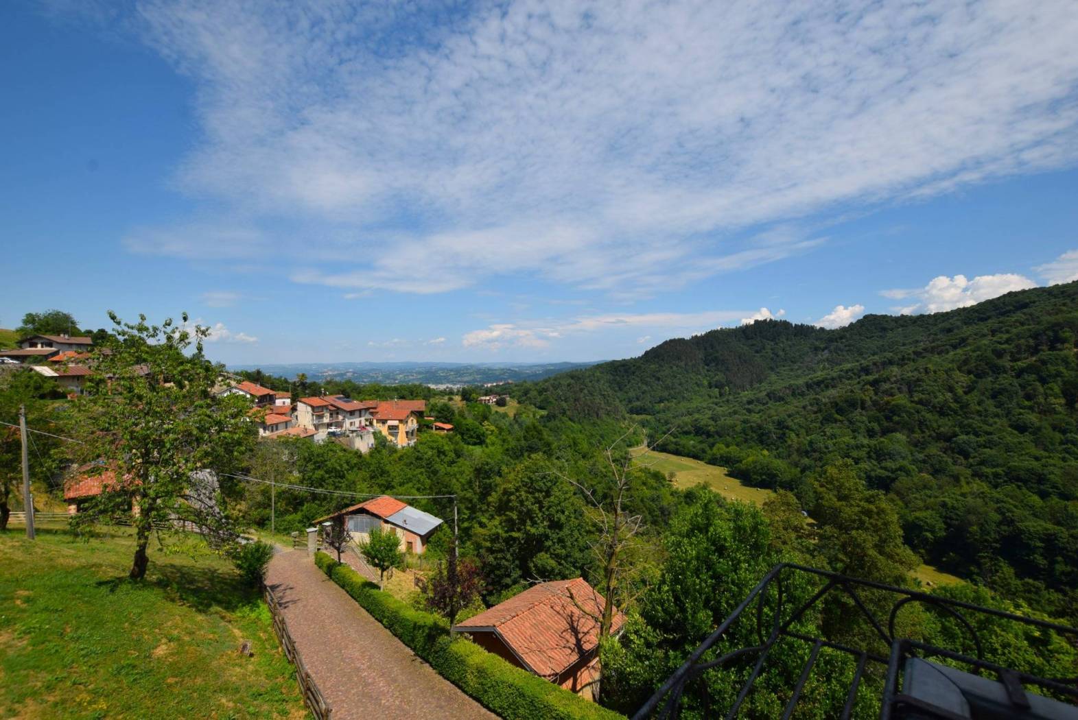 Vista