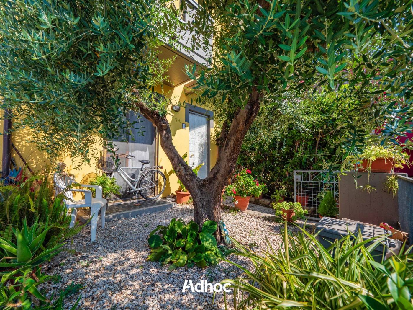 Giardino