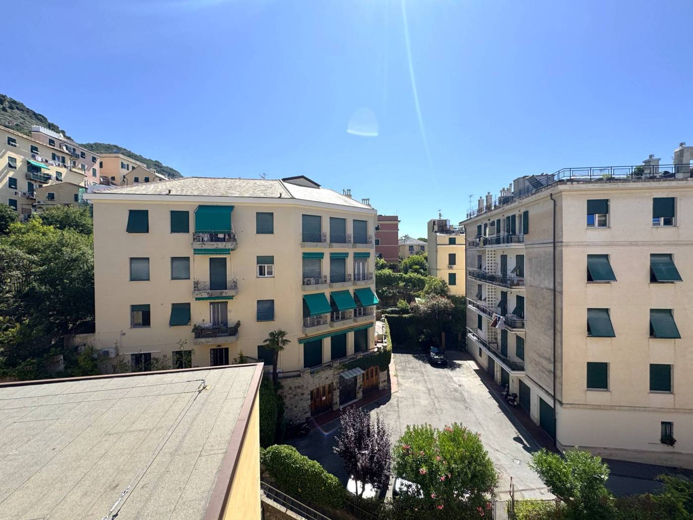 Vista