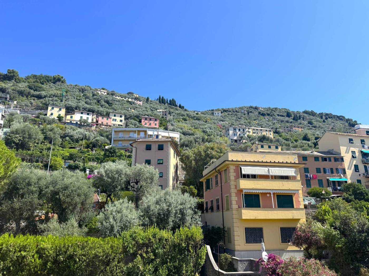 Vista