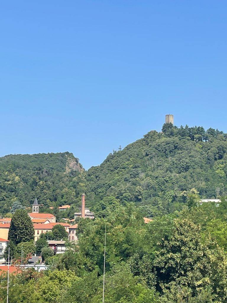 Vista
