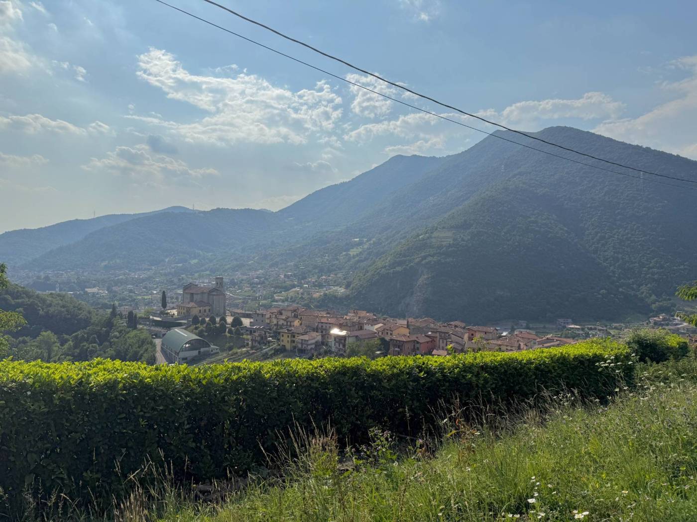 Vista