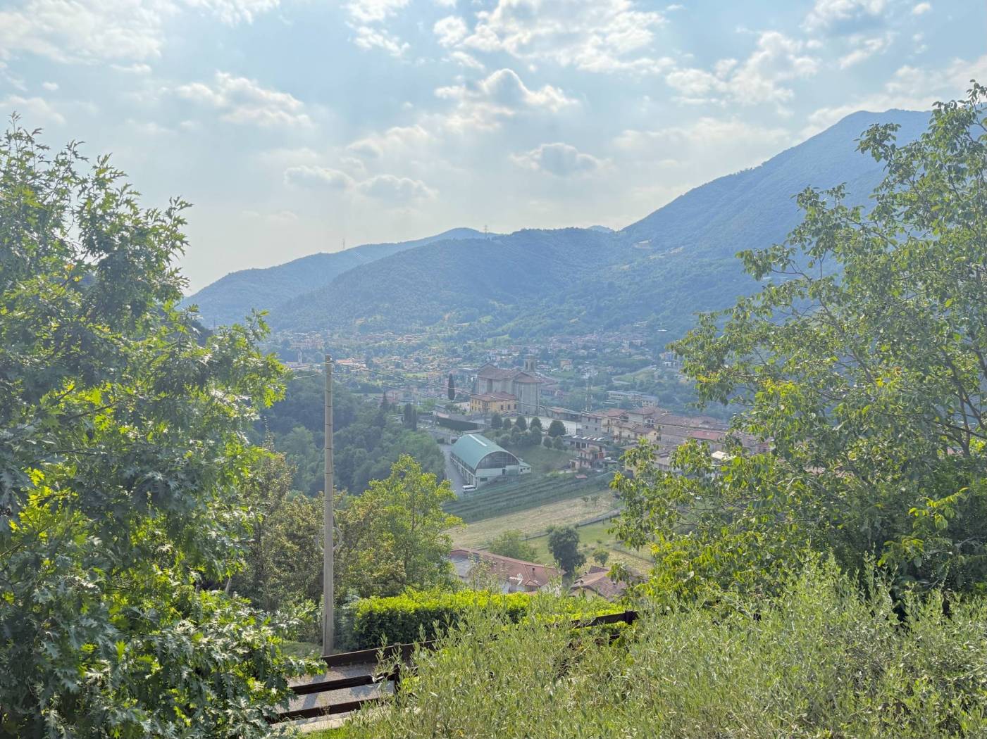 Vista