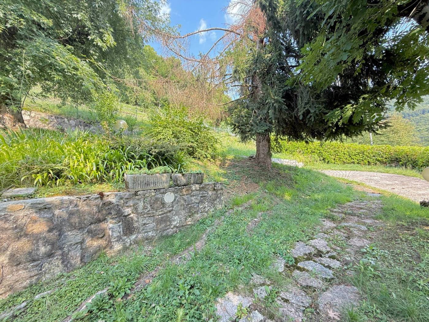 Terreno