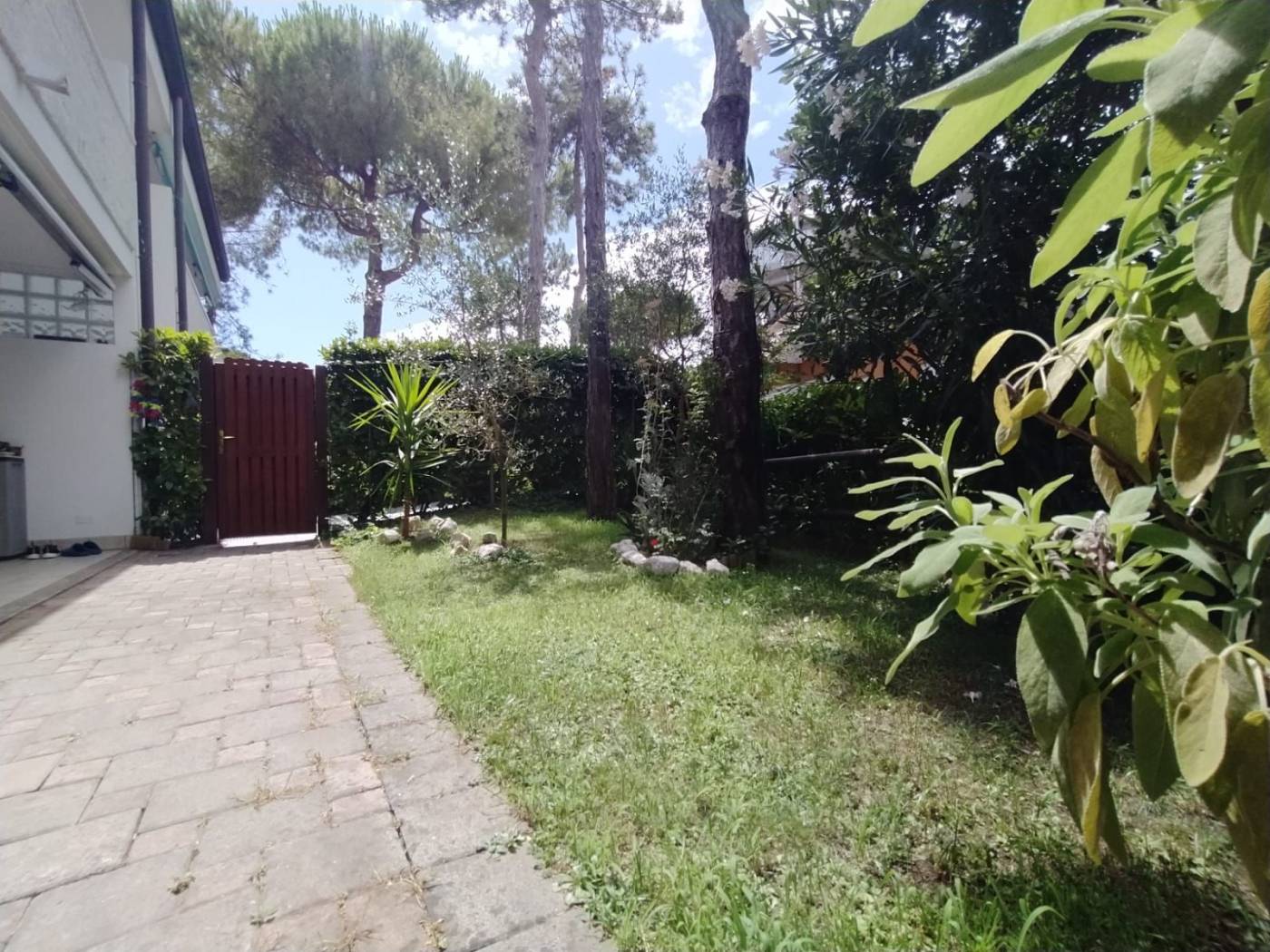 Giardino