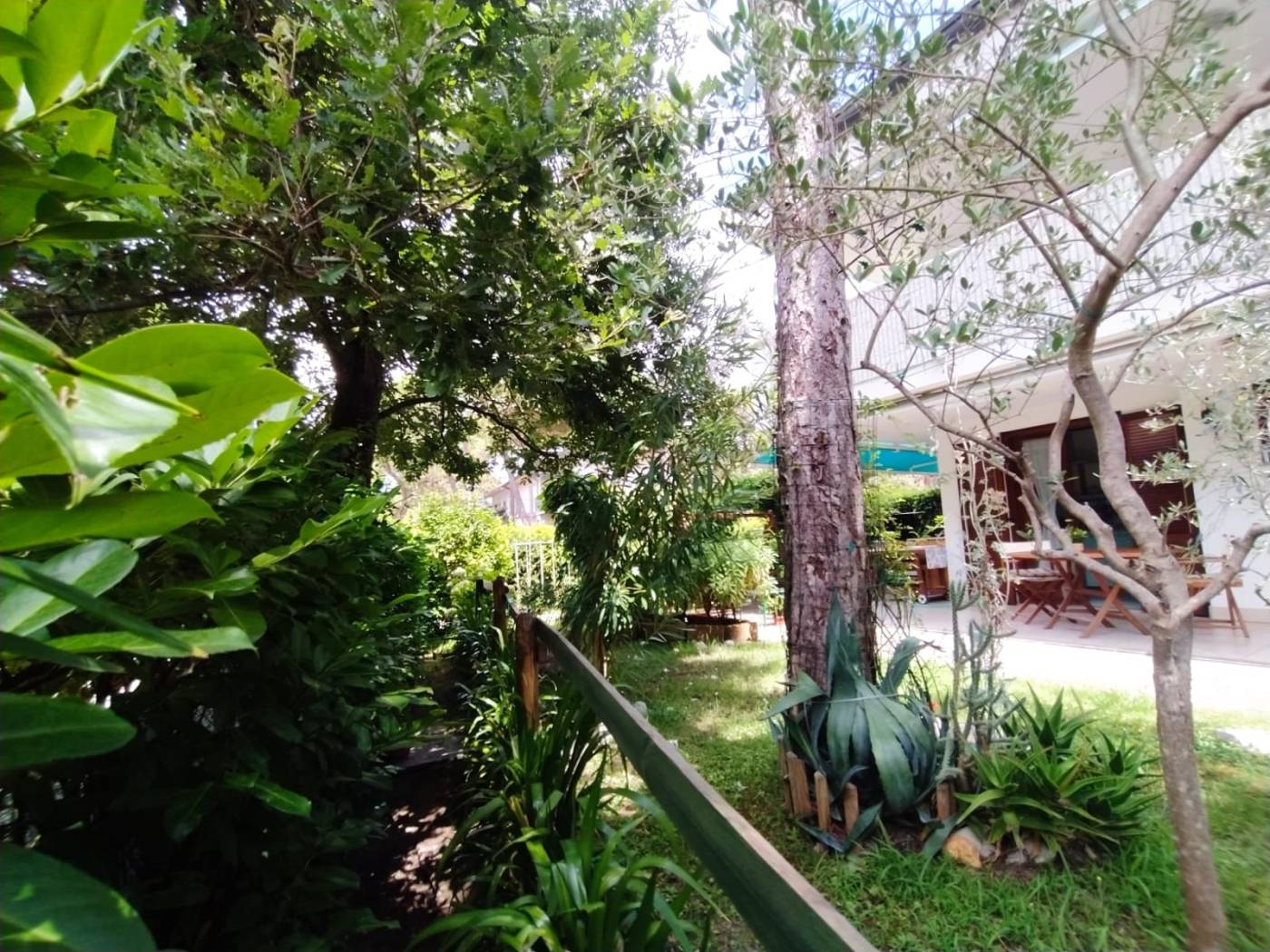 Giardino