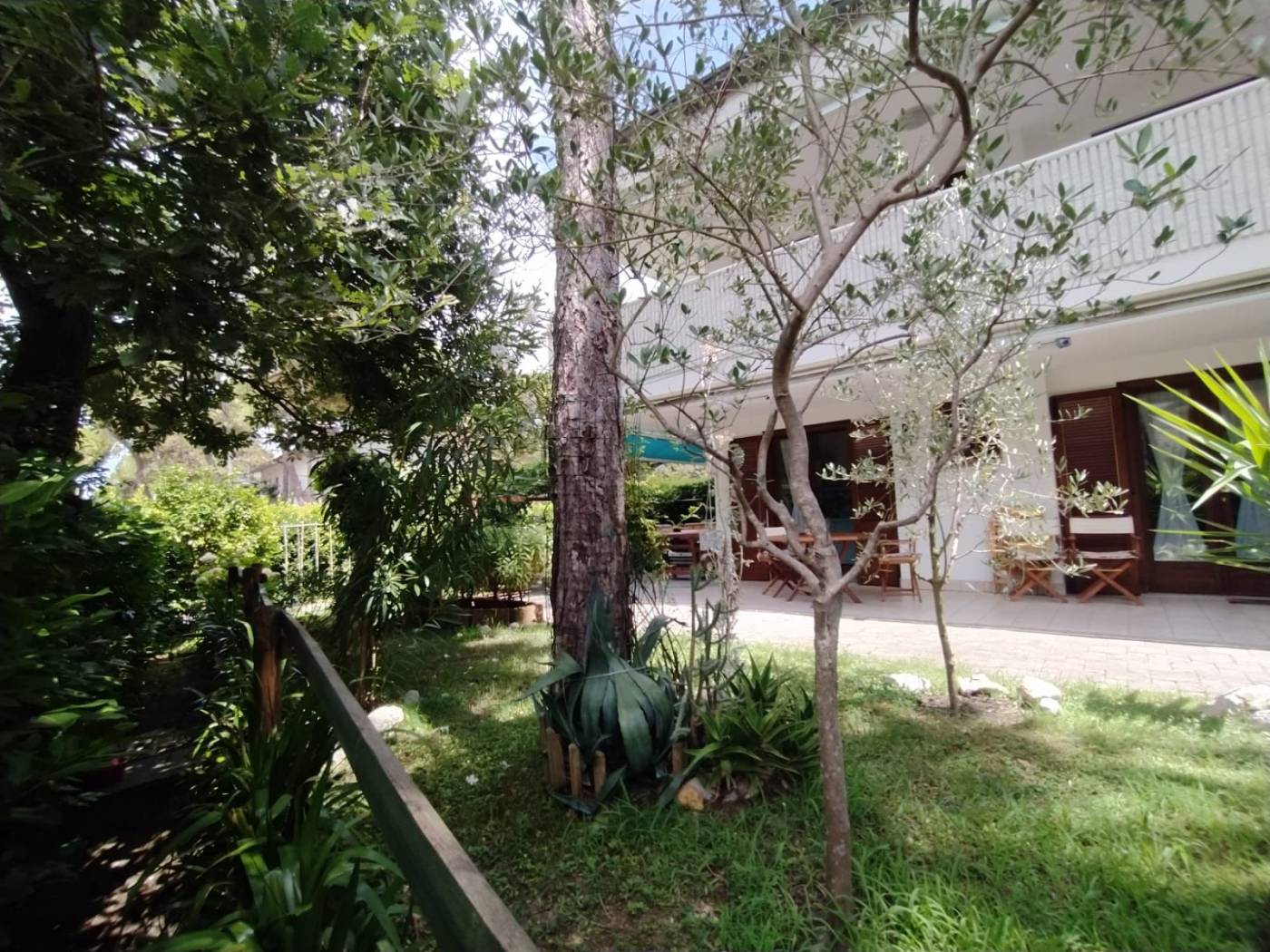 Giardino