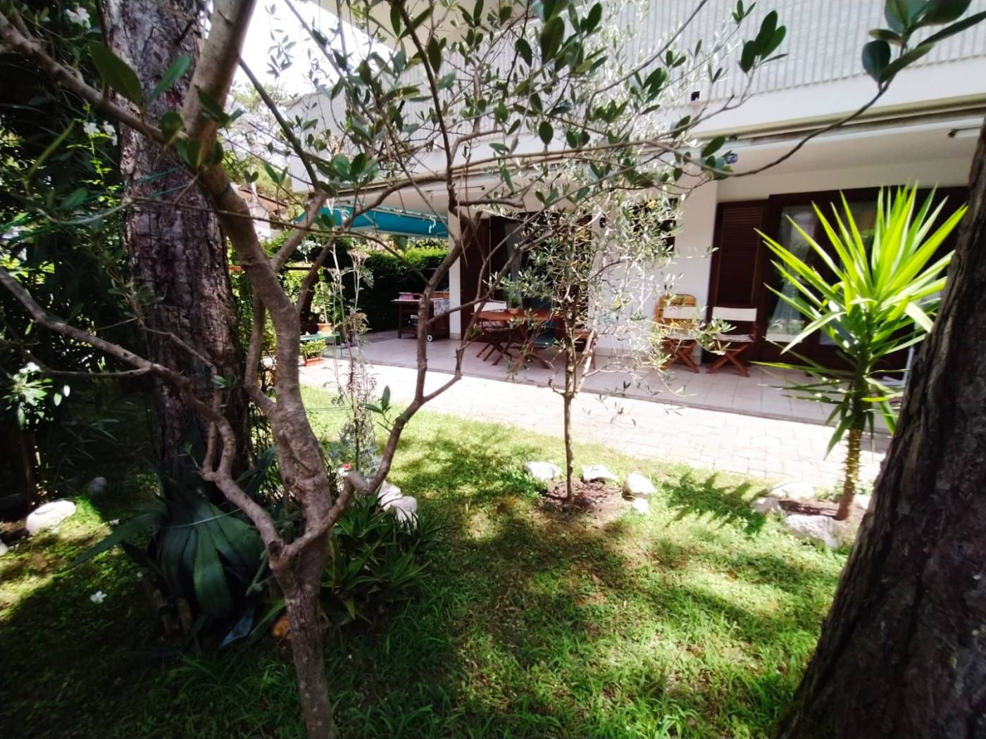 Giardino