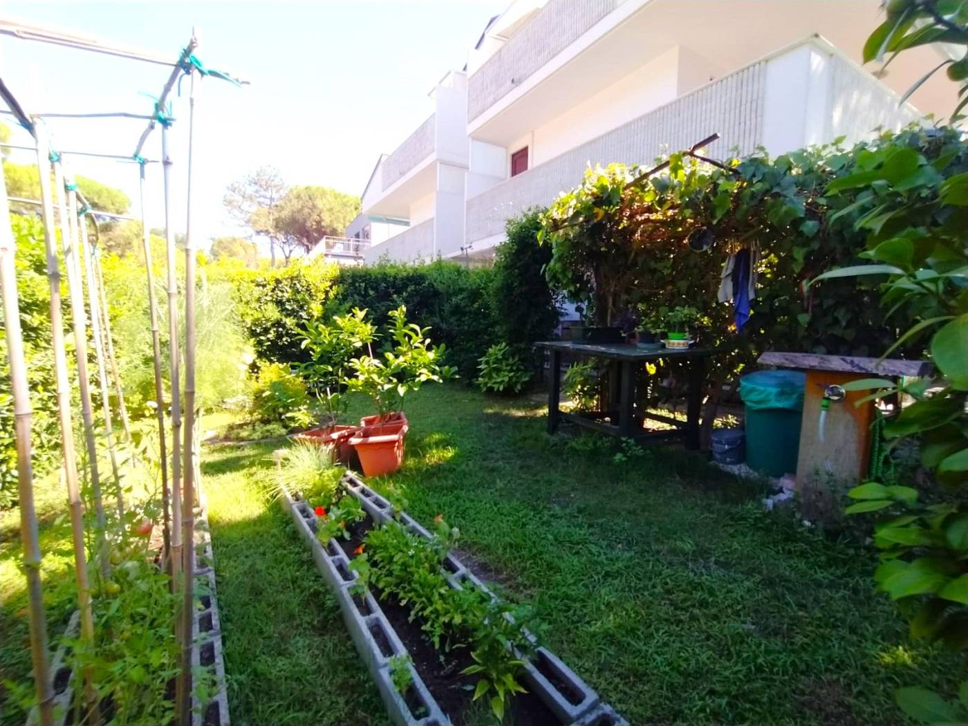 Giardino