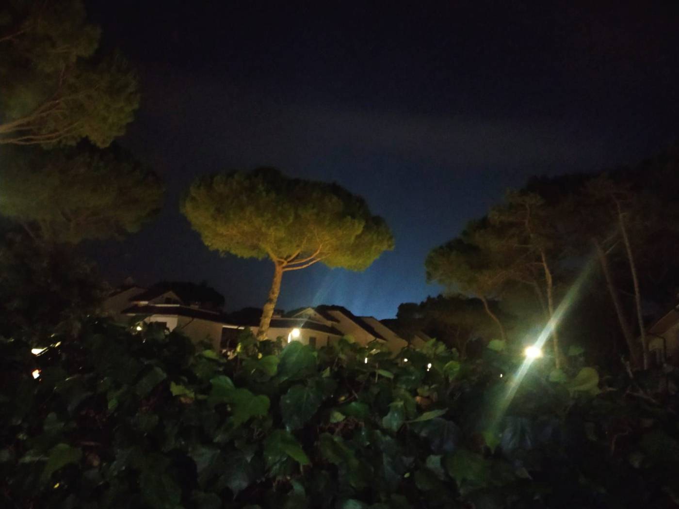 Vista