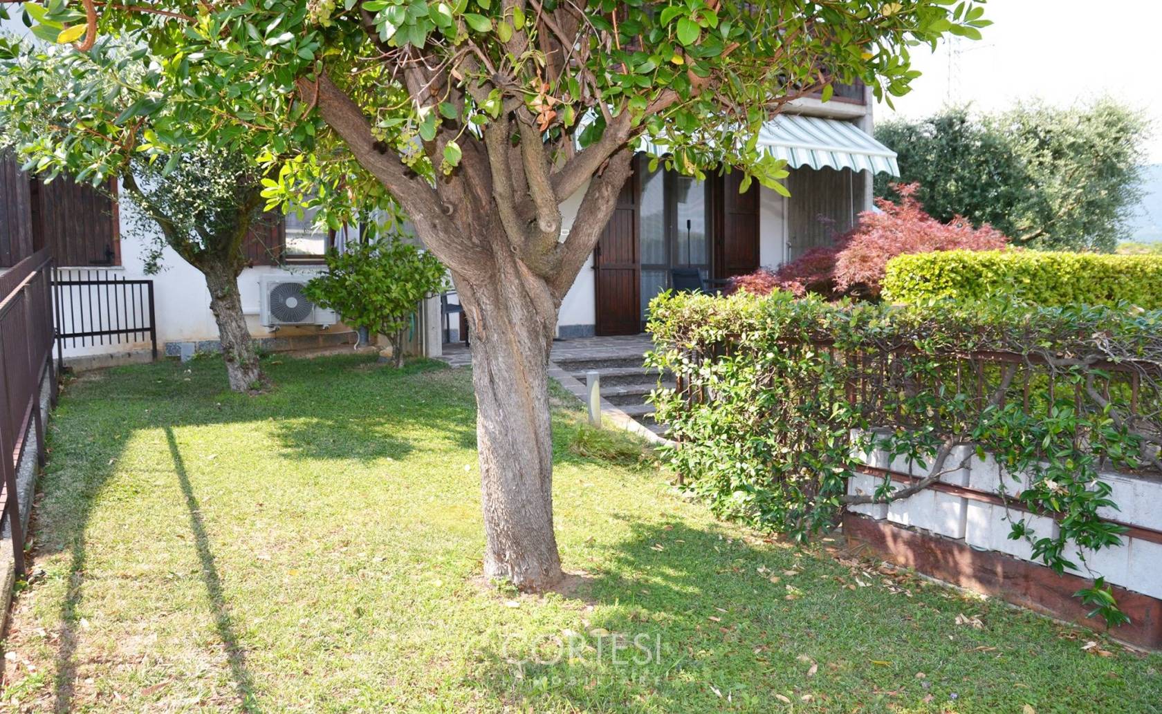Giardino