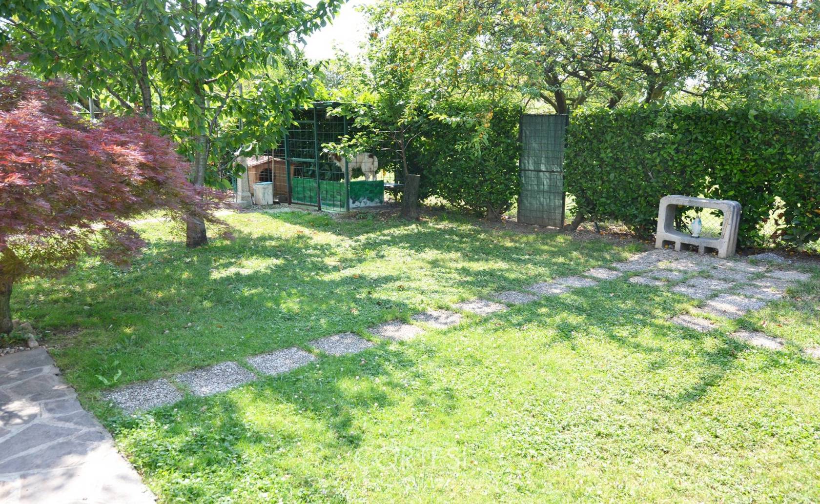 Giardino