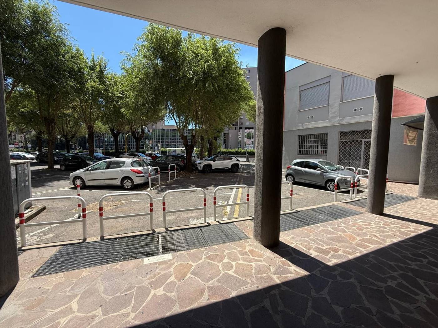 Zona Zona
