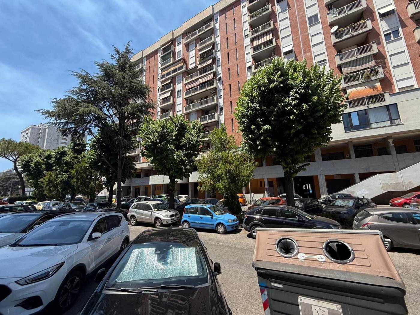 Zona Zona