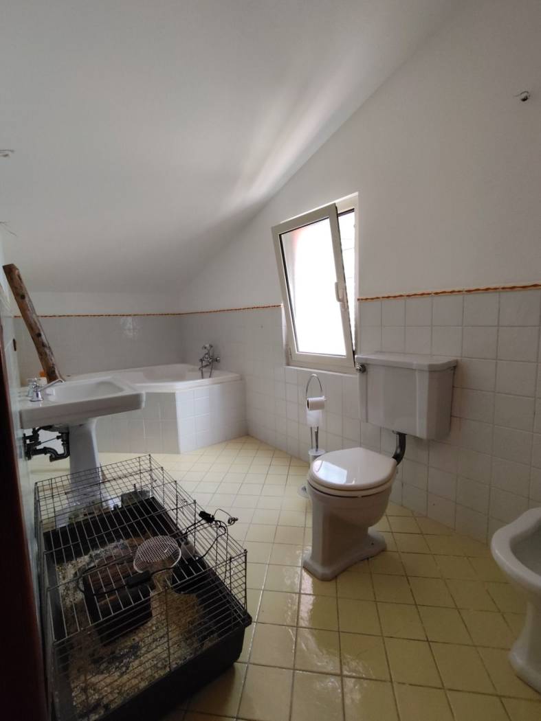 Bagno
