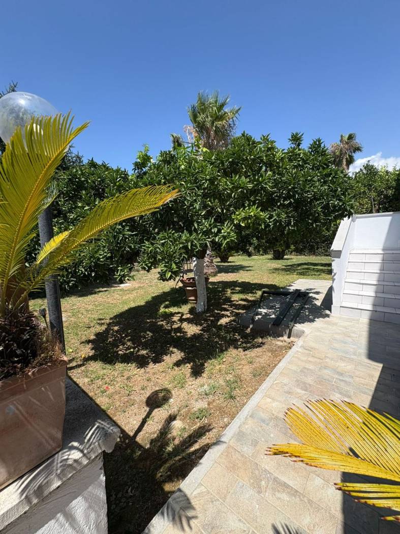 Giardino