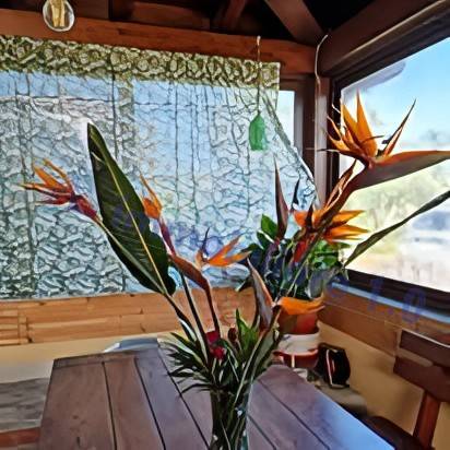 Veranda