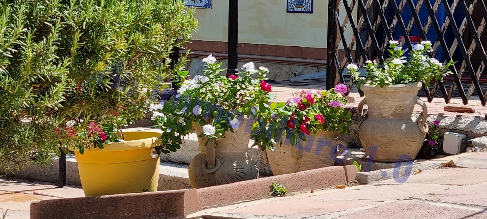 Giardino