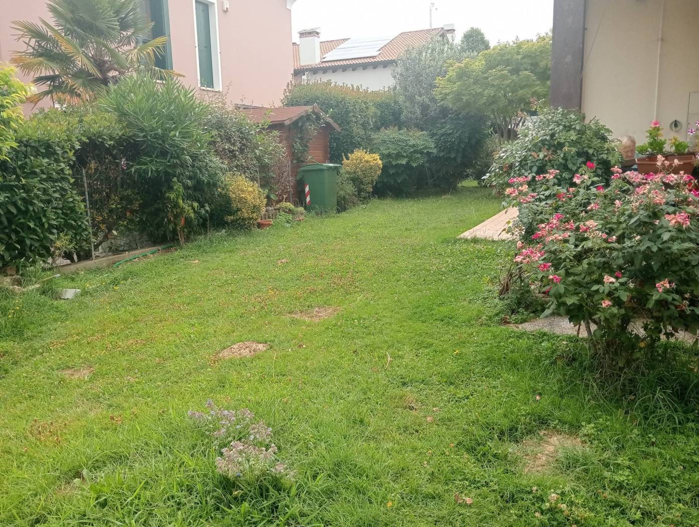 Giardino