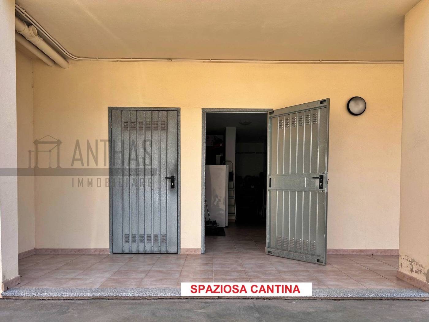 Cantina
