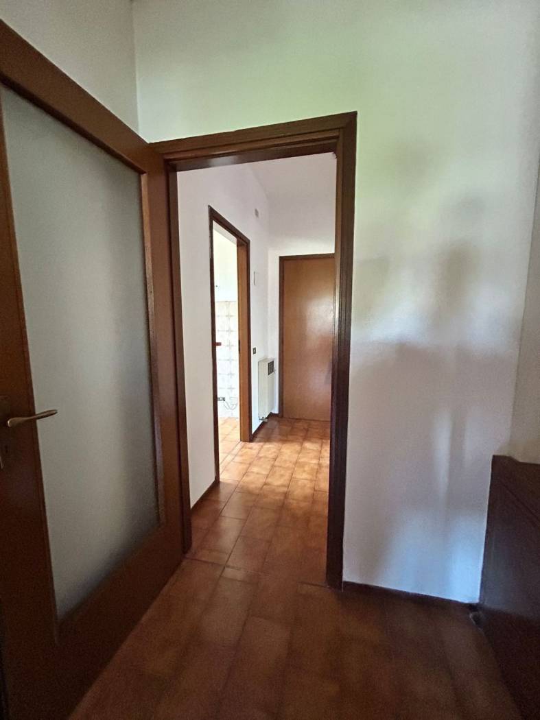 Ingresso