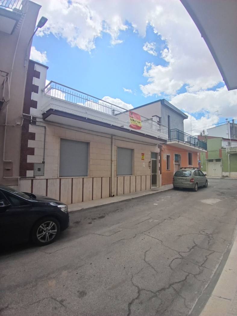 Zona