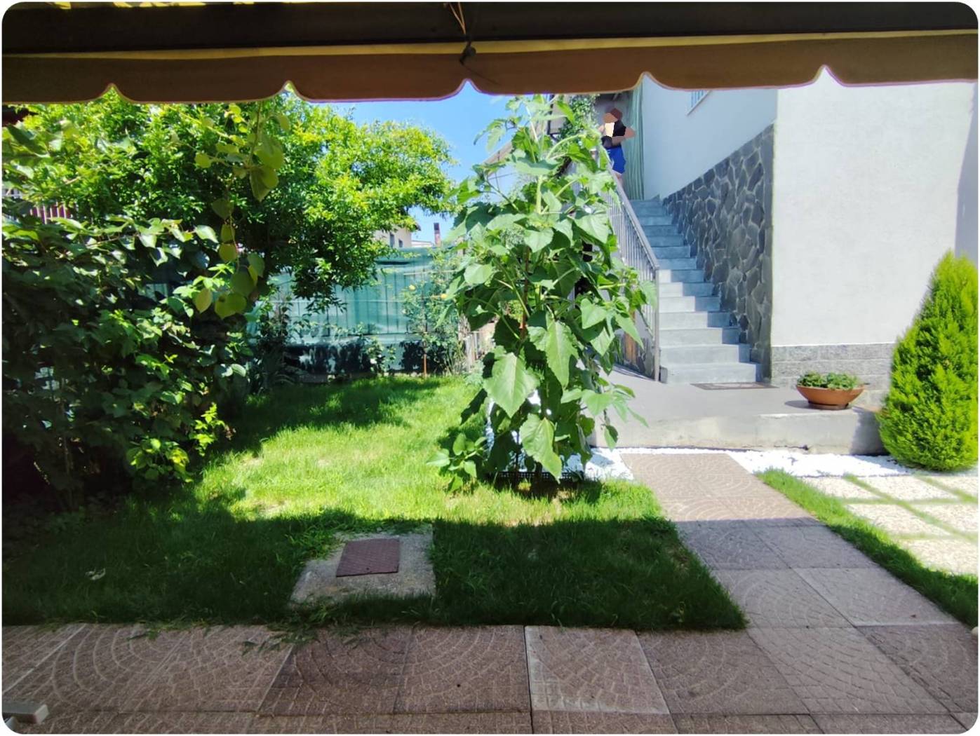 Giardino