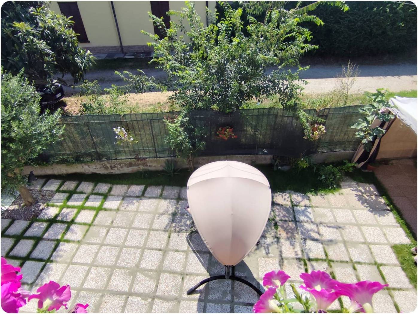Giardino