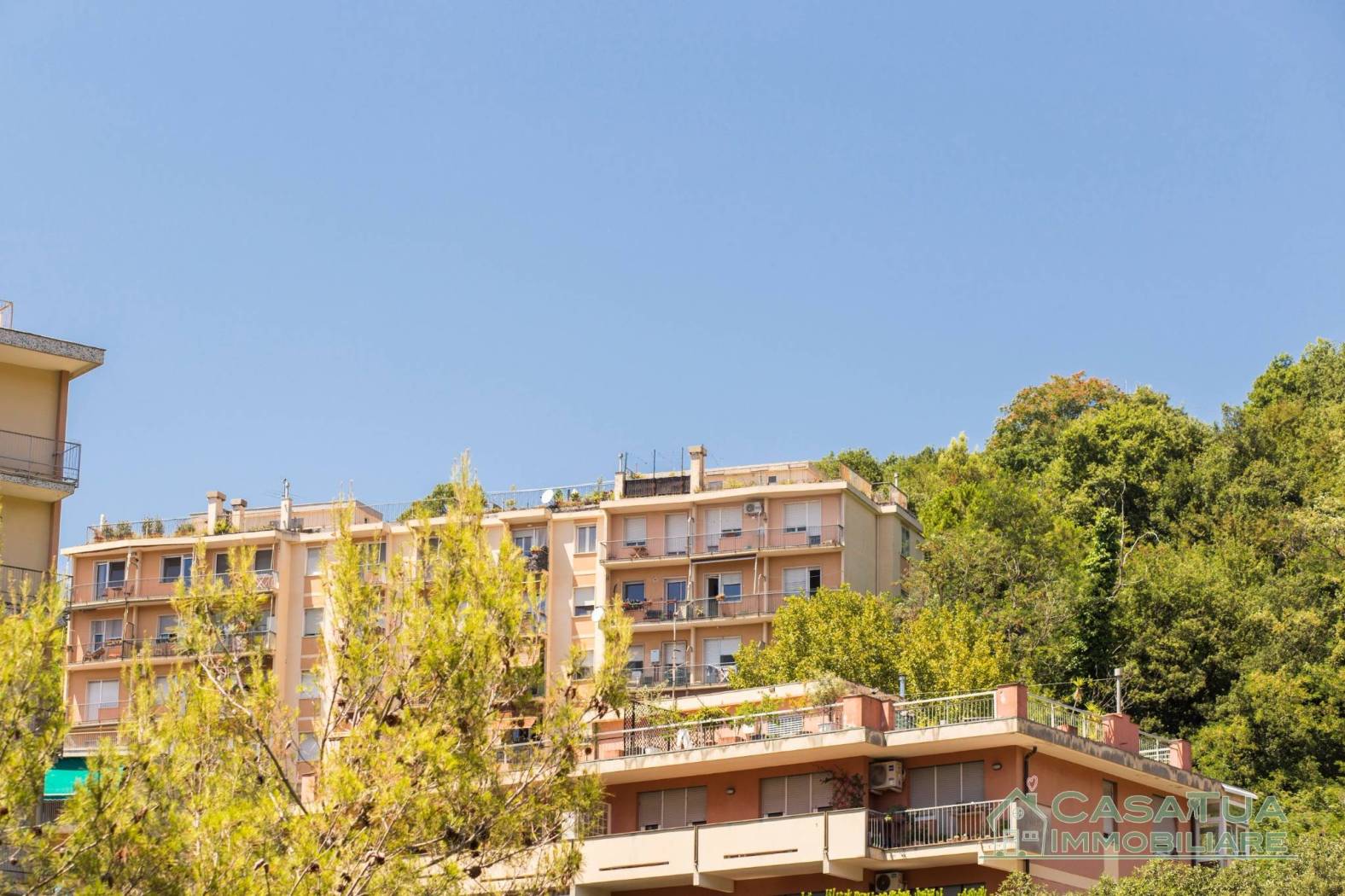 Vista
