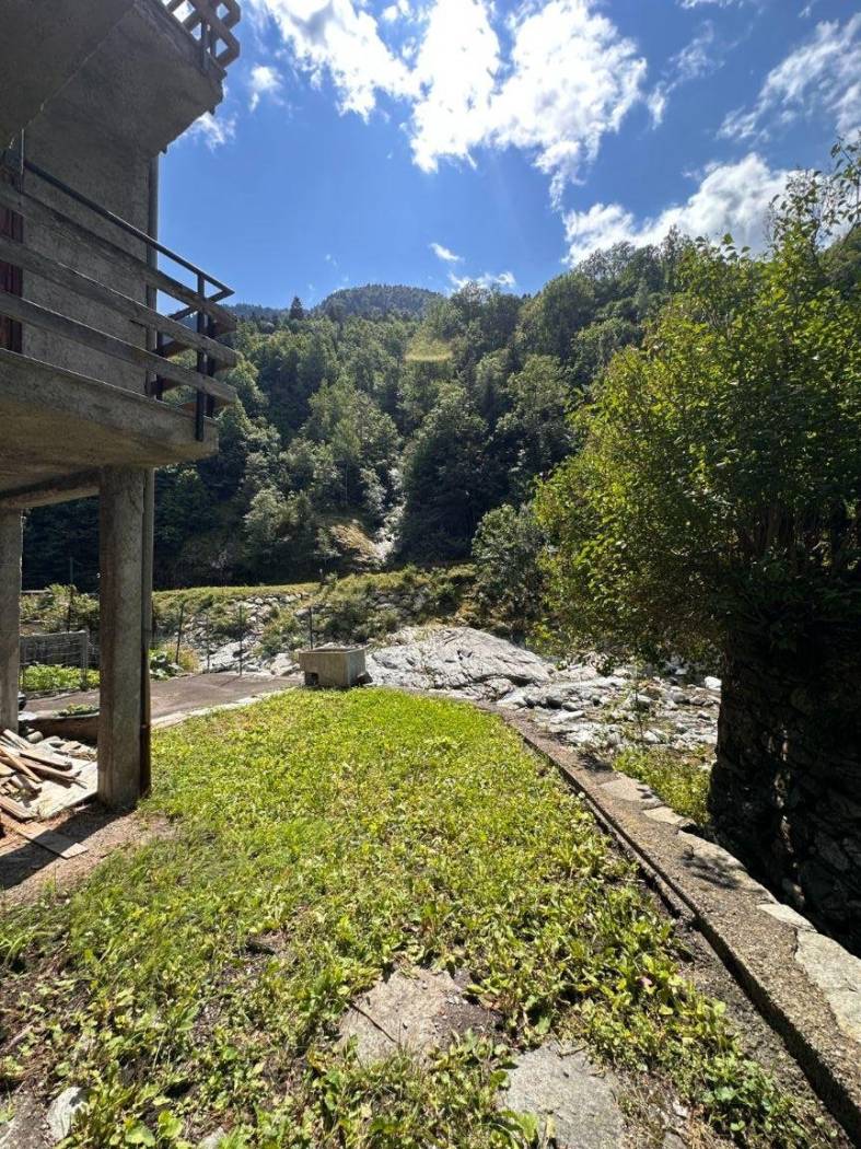 Giardino