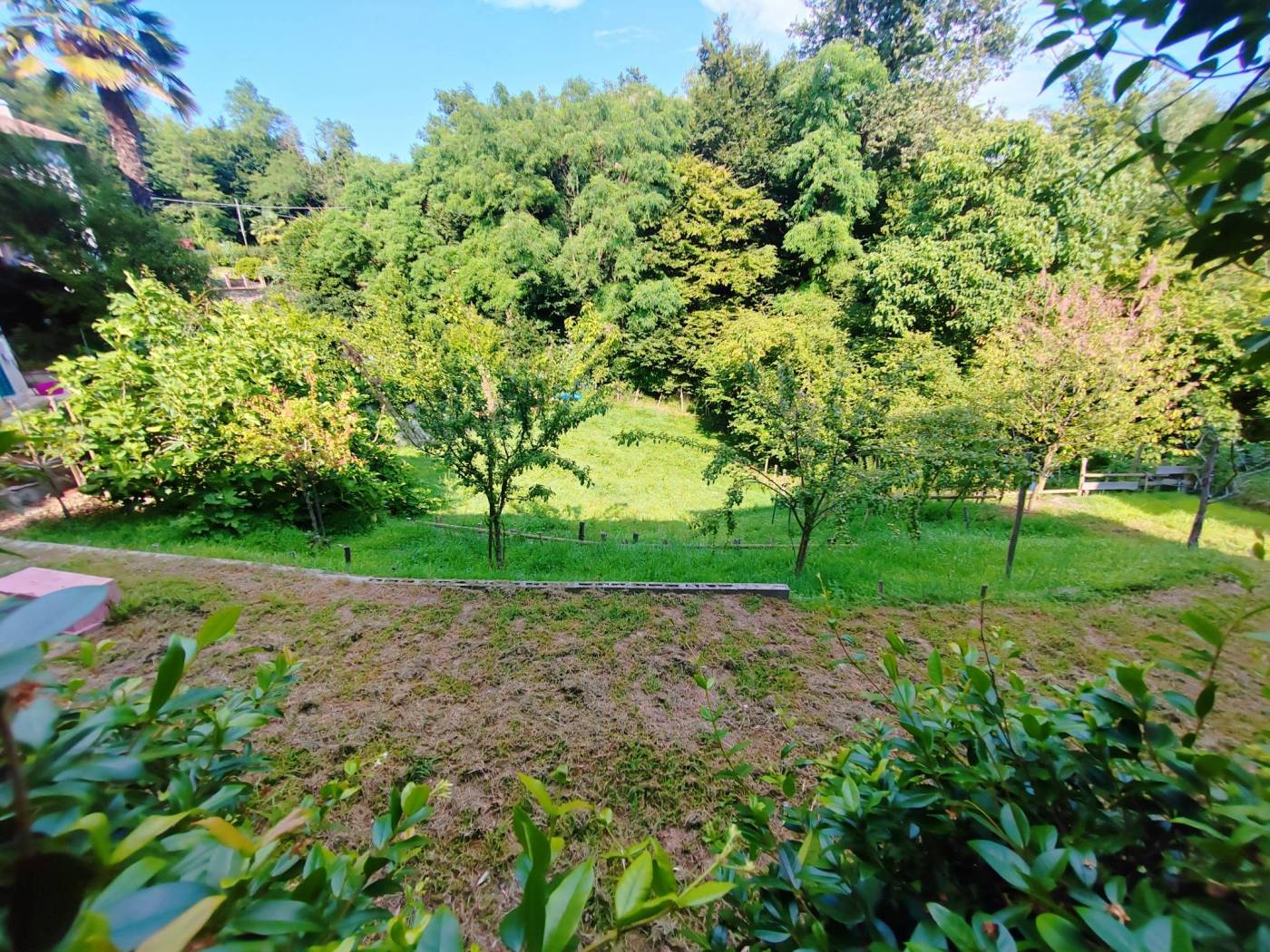 Giardino