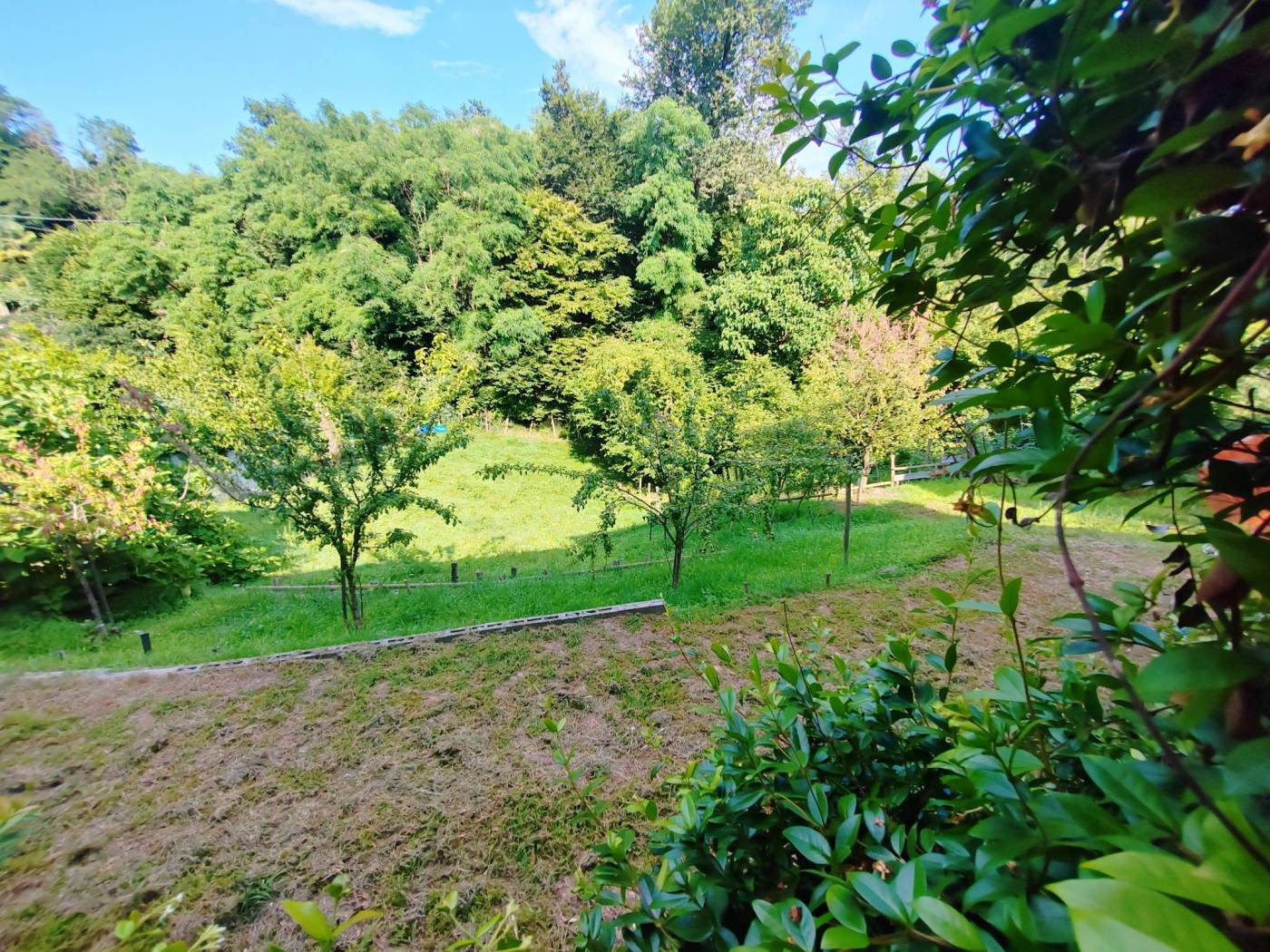 Giardino