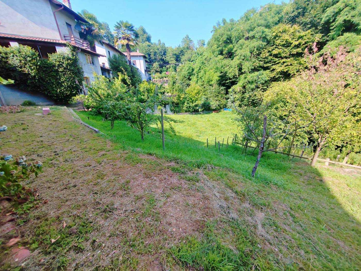 Giardino