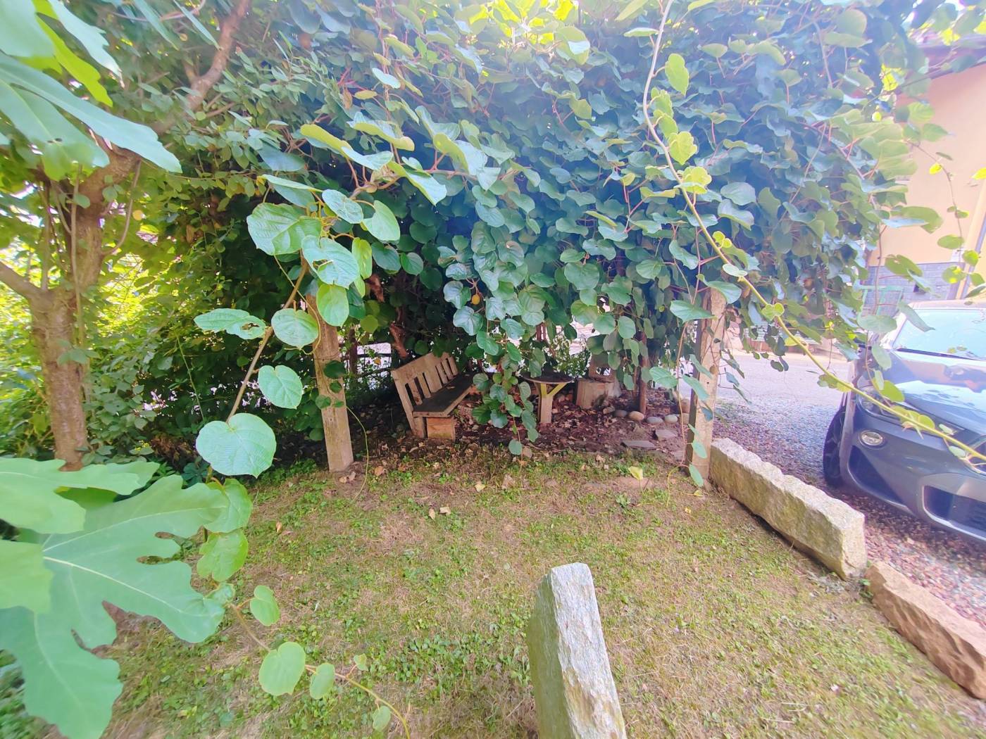 Giardino