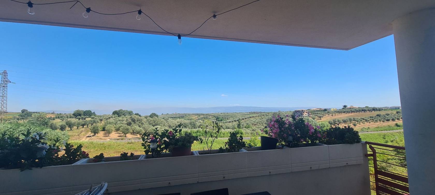 Vista
