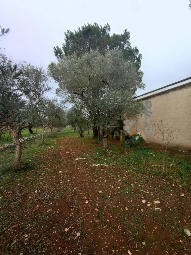 Terreno