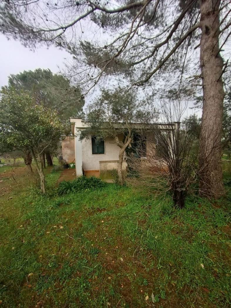 Terreno