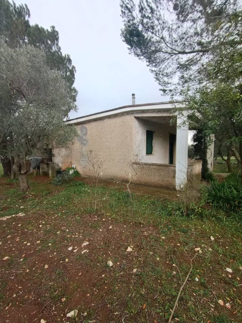 Terreno